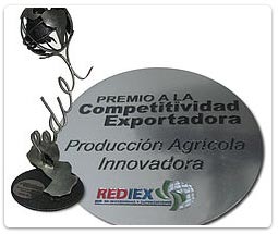 REDIEX Premio Nacional a la Competitividad Exportadora 2008