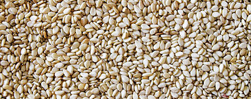 sesame seeds