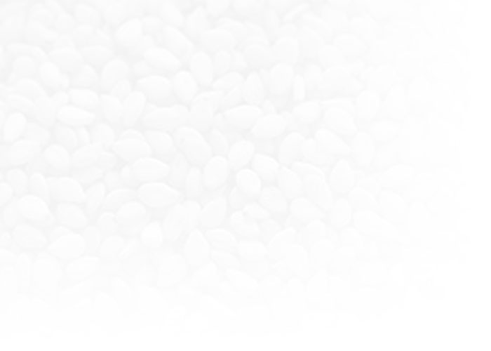 Shirosawa products sesamo