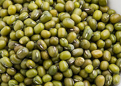 Mung Bean